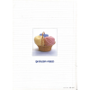 Happy Knitting Pattern Book - Softcover