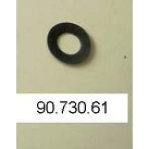 Cup Spring 4.2/8x0.3