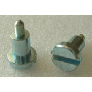 SilverReed Parts - Tuck Brush Screw SR-150